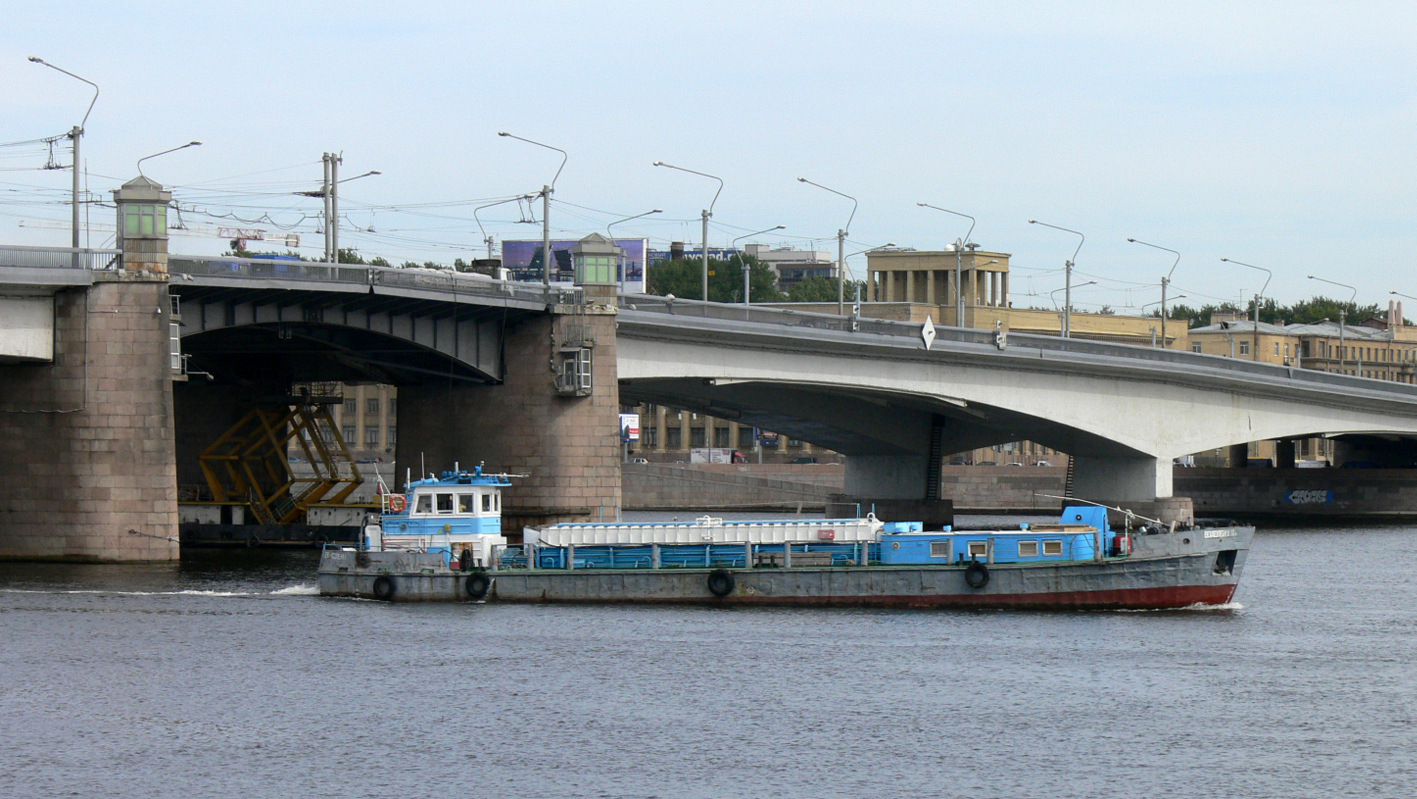 фото петербургского моста Александра Невского