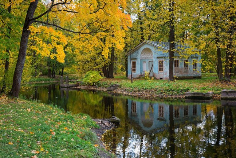 Архитектура в царском селе